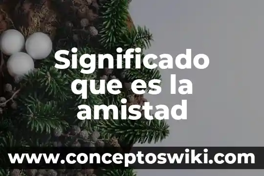 Que es la amistad articulos 3 Significado que es la amistad