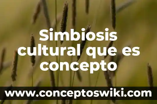 Solidaridad que es significado y concepto 6 Simbiosis cultural que es concepto