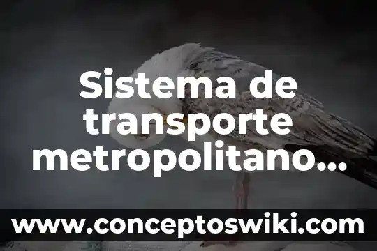 Que es rectificacion administrativa de acta de nacimiento puebla 6 Sistema de transporte metropolitano de puebla que es