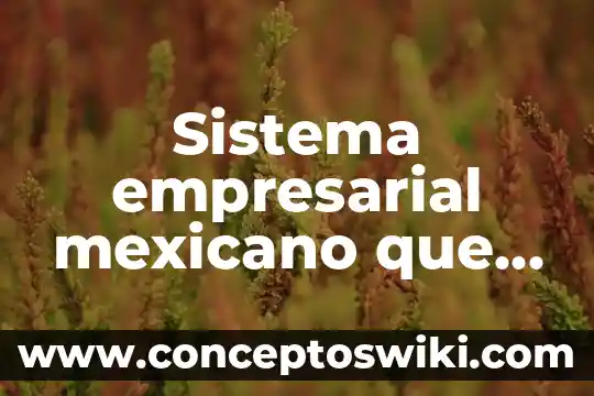 Que es la regulacion empresarial y la politica antimonopolista 8 Sistema empresarial mexicano que es