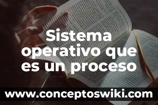 Que es un indicador en un programa operativo 3 Sistema operativo que es un proceso
