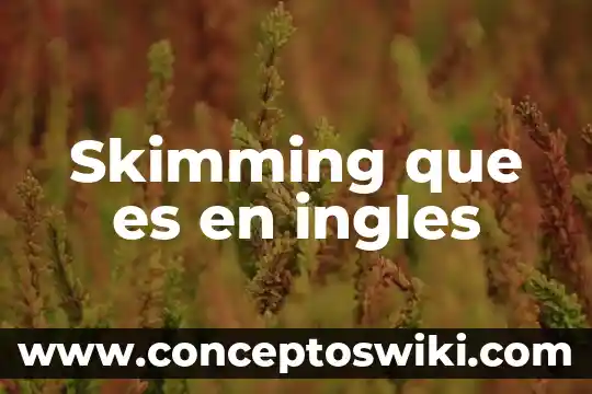Que es significa el humor en ingles 7 Skimming que es en ingles