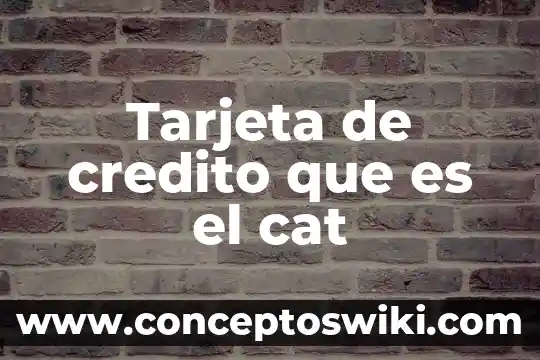 Que es el nombre en la tarjeta en amazon 7 Tarjeta de credito que es el cat