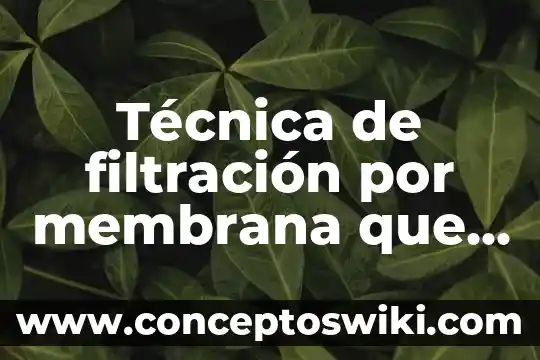 Que es el metodo de la filtracion 4 Técnica de filtración por membrana que es