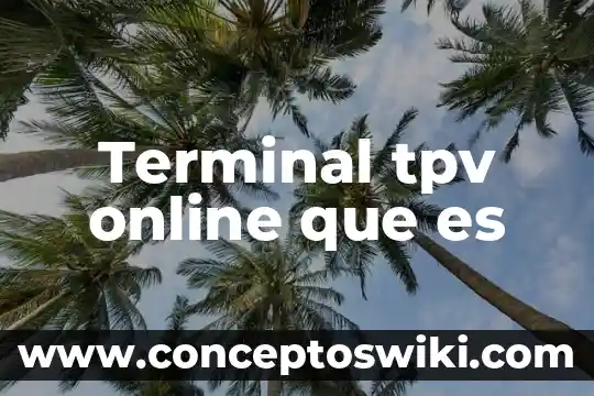 Castor green terminal que es 7 Terminal tpv online que es