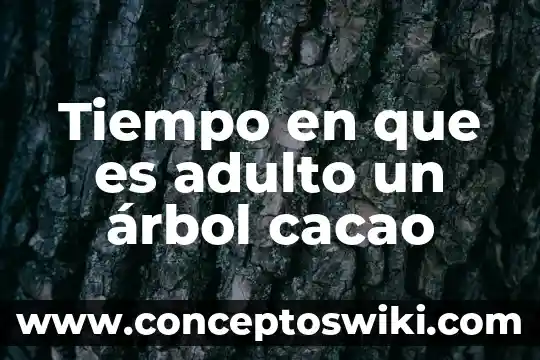 Que es un arbol genealogico como se construye y ejemplo 8 Tiempo en que es adulto un árbol cacao