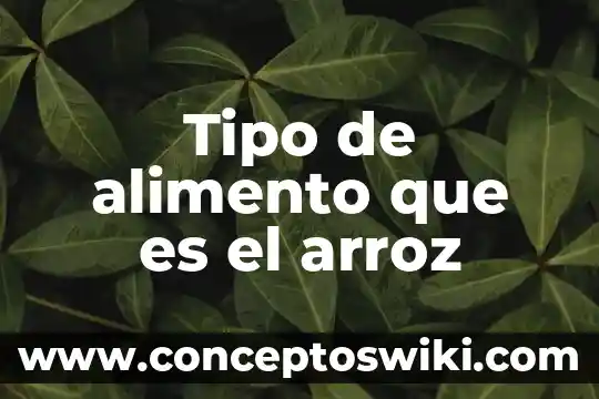 Que es el lactante de cerdo compuesto de alimento 5 Tipo de alimento que es el arroz