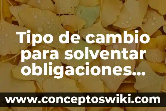 Qué es la naturalización de la violencia 5 Tipo de cambio para solventar obligaciones que es