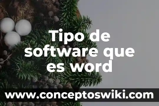 Que es la es el software comercial 8 Tipo de software que es word
