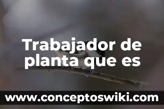 Que es la planta de aralia estrella 7 Trabajador de planta que es