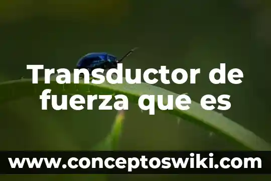 La fuerza que es en la física 4 Transductor de fuerza que es