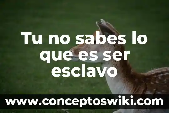 Que es clasificacion de capacitación con tu definicion 4 Tu no sabes lo que es ser esclavo