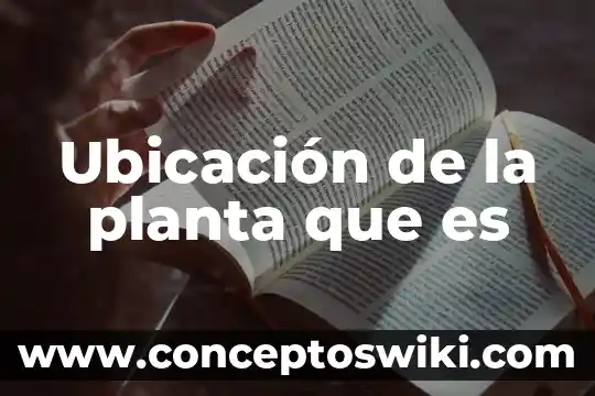 Que es una planta generadora termoelectrica 8 Ubicación de la planta que es