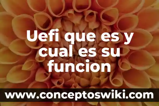 Cual es el significado etimológico de verdad y que es 6 Uefi que es y cual es su funcion