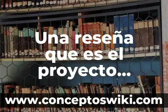 Qué es un proceso artesanal industrial y automatizado 3 Una reseña que es el proyecto artesanal