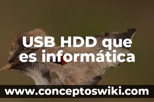 Qué es una abstracción informática 7 USB HDD que es informática