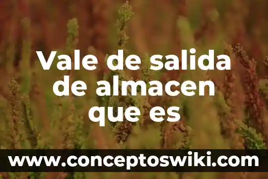 Qué es un cuadro de salida 8 Vale de salida de almacen que es