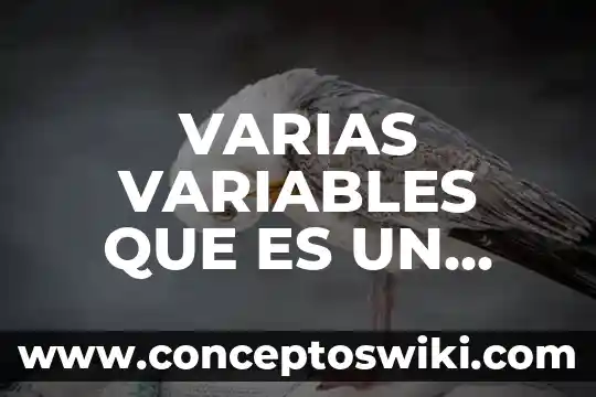 Que es el nombre y cuantas variables exiten gramaticales 5 VARIAS VARIABLES QUE ES UN PUNTO CRÍTICO