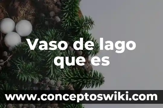 Qué es vaso de precipitación en química 7 Vaso de lago que es