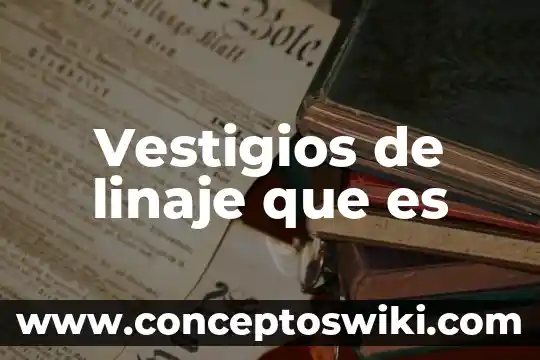 Que es un centro de costes 7 Vestigios de linaje que es