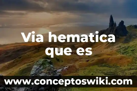 Biometria hematica que es y ara que sirve 5 Via hematica que es