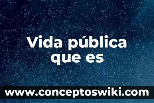 Que es estilo de vida sin residuos 4 Vida pública que es