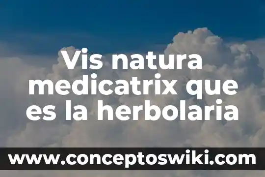 Significado de que es la herbolaria 4 Vis natura medicatrix que es la herbolaria