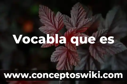 Qué es el símbolo matemático norma 8 Vocabla que es