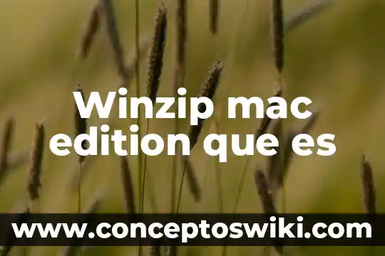 Zelazon que es 3 Winzip mac edition que es