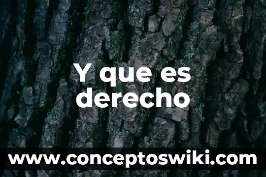 Que es eviccion en derecho 6 Y que es derecho