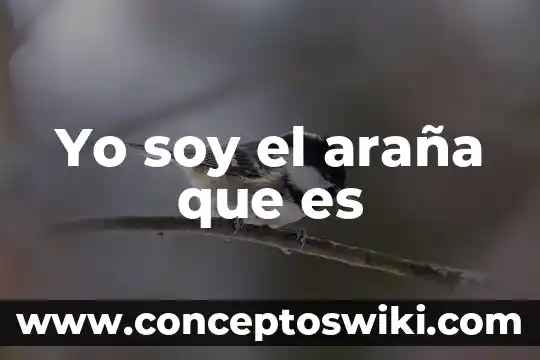 Que es un esquema de sol y araña 4 Yo soy el araña que es