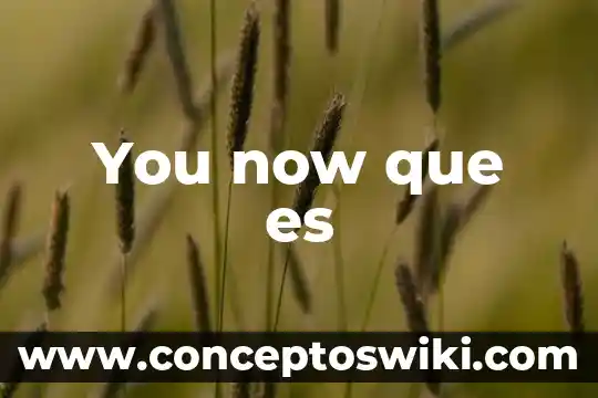 Que es un avatar del sol 5 You now que es