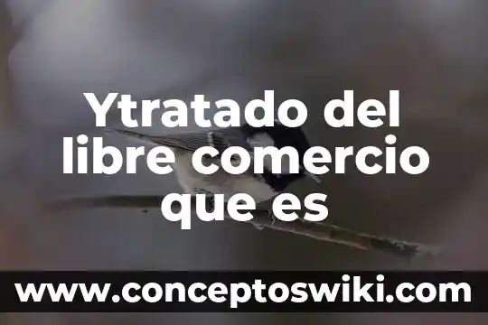 Que es comercio sin discriminacion 8 Ytratado del libre comercio que es