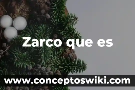 Que es el cabono activado es un compuesto 3 Zarco que es