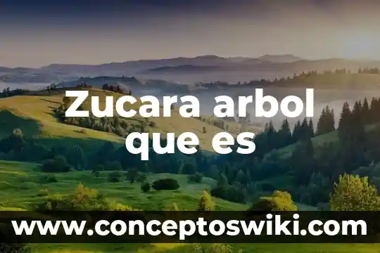Que es un arbol genealogico como se construye y ejemplo 7 Zucara arbol que es
